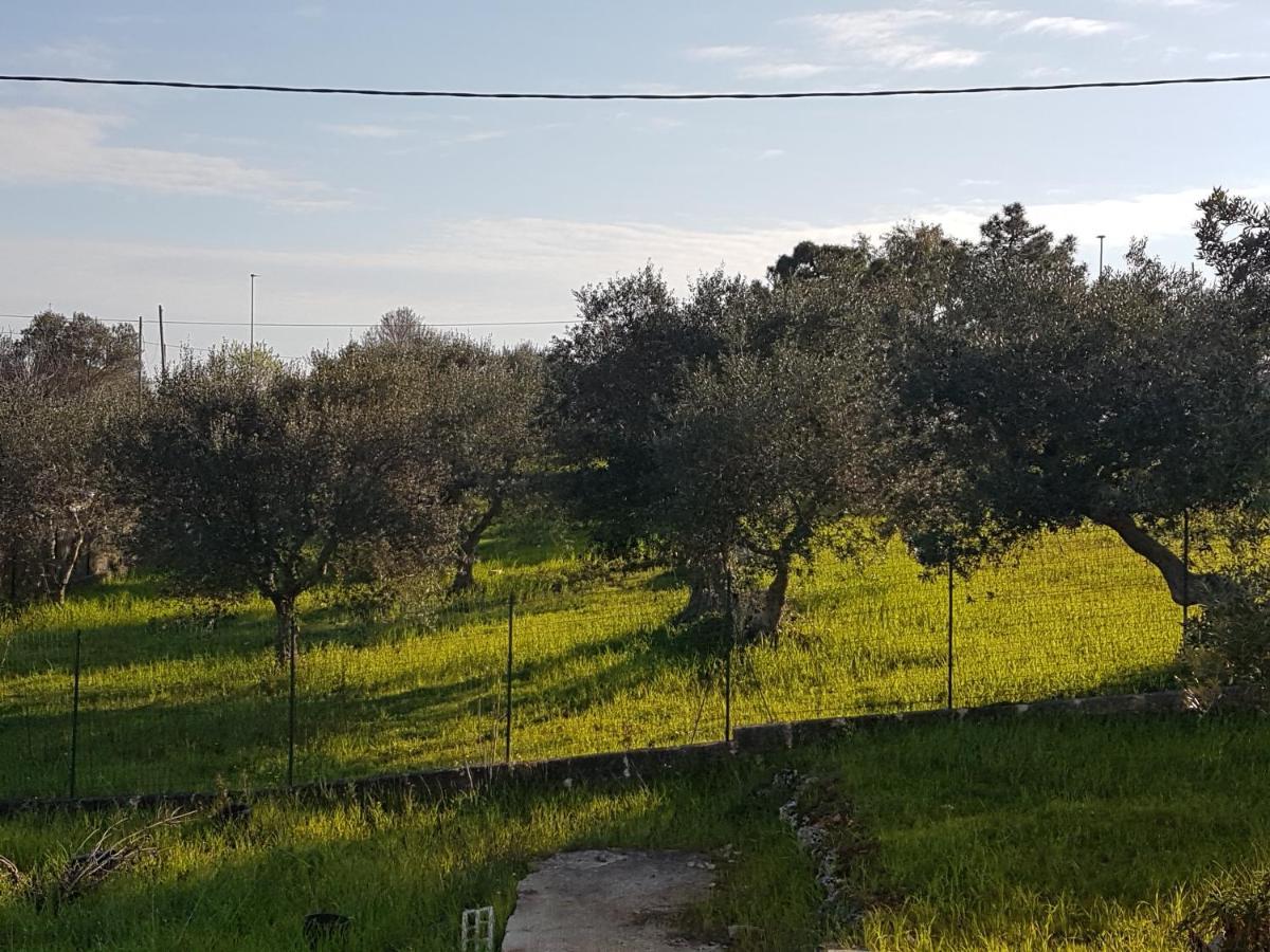 פאסאנו Appartamento Puccini מראה חיצוני תמונה